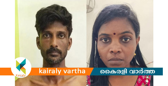 പള്ളിക്കത്തോട്ടിൽ 39 പവൻ സ്വർണാഭരണങ്ങൾ കവർന്ന കേസിൽ രണ്ടുപേർ അറസ്റ്റിൽ