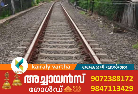 ഗുജറാത്തിൽ ട്രെയിൻ തട്ടി സിംഹത്തിന് ഗുരുതര പരിക്ക്; വാൽ അറ്റുപോയി