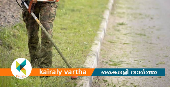 ദേശീയപാതയോരത്തെ പുല്ലുനീക്കൽ വേഗത്തിലാക്കണം- കോട്ടയം ജില്ലാവികസന സമിതി